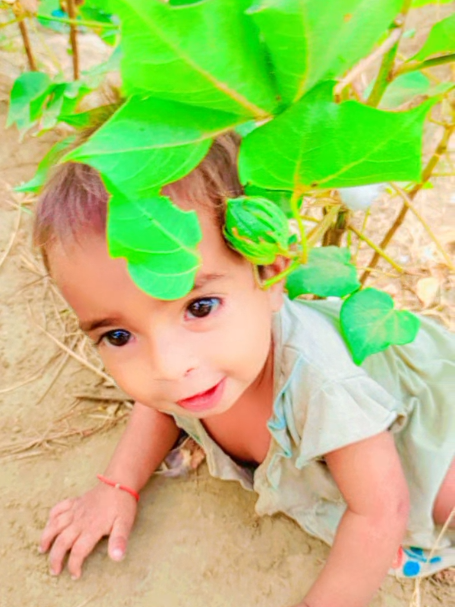 @Shameer Rathor