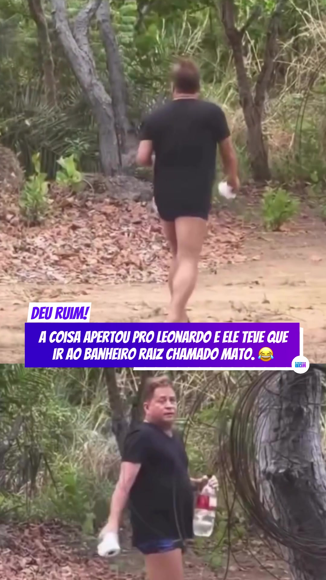 @&Ocirc; M&Uacute;SICA BOA &reg;