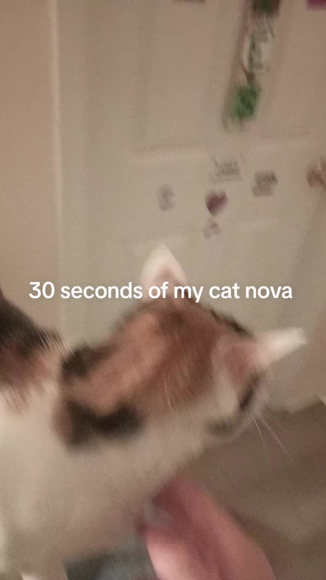 @jamesjaw1