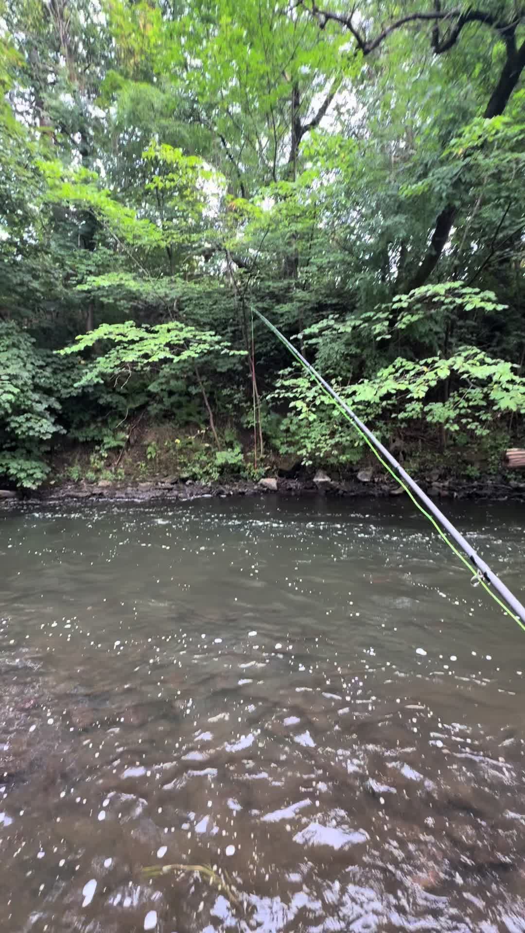@Alba Trout 🏴