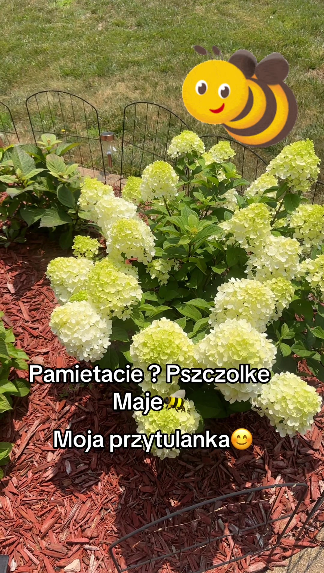 @Krysia i dawne czasy 🇵🇱🇺🇸
