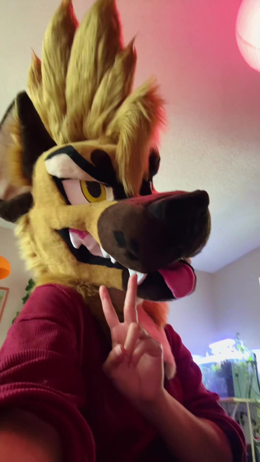 @Dr. Rood Hyena 🇲🇽