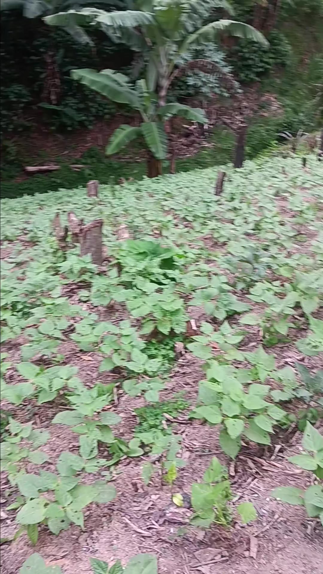 @la millonaria gracias a Dios