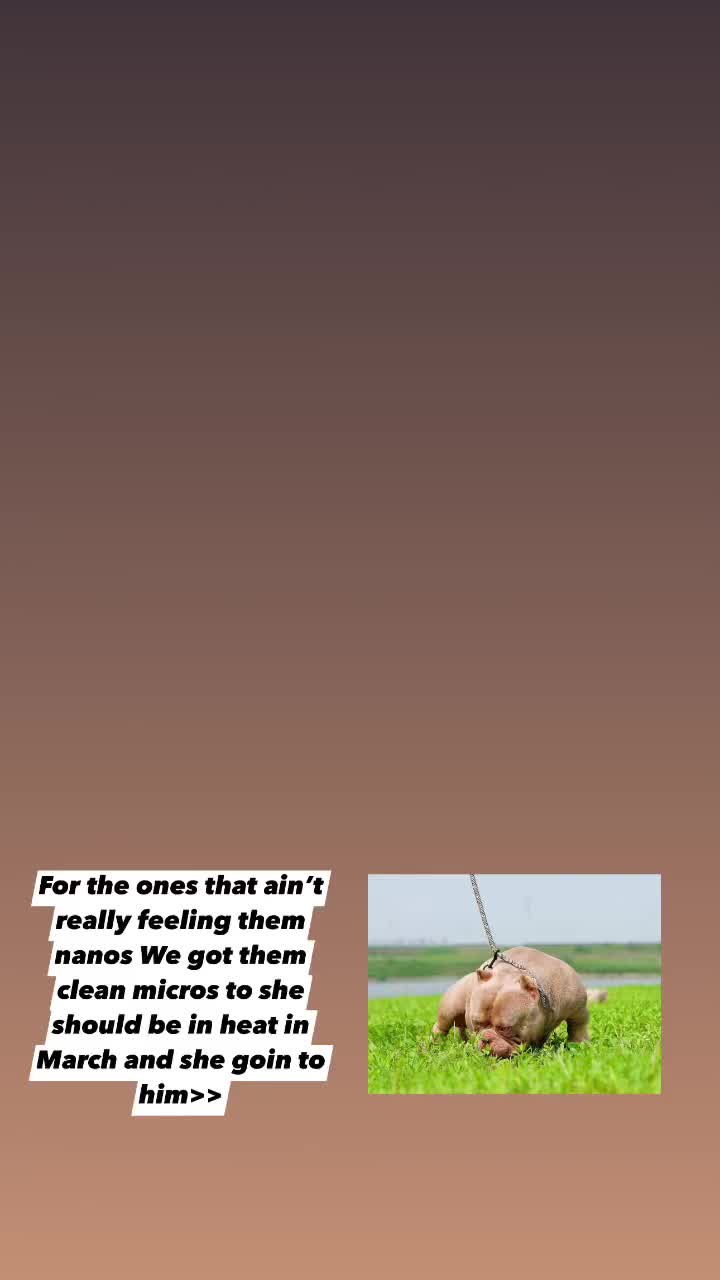 @nuwopp46