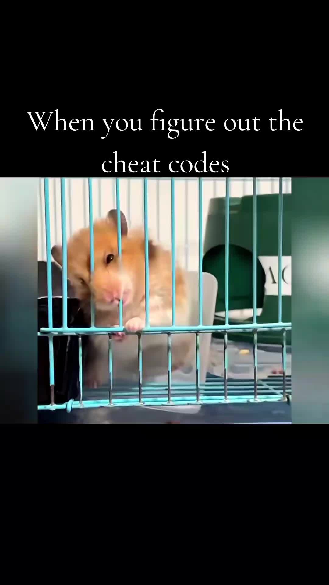 @NYODDS