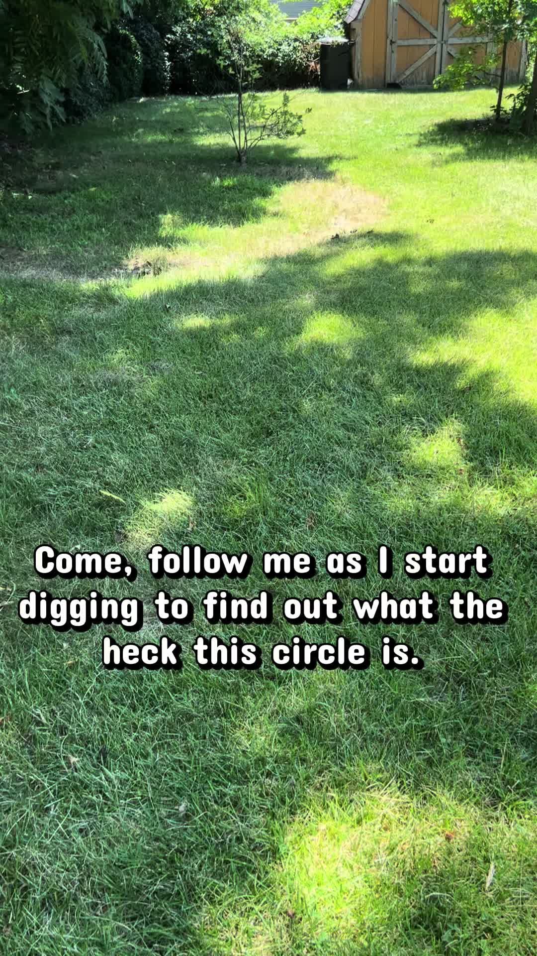 @ElyseSalpeter