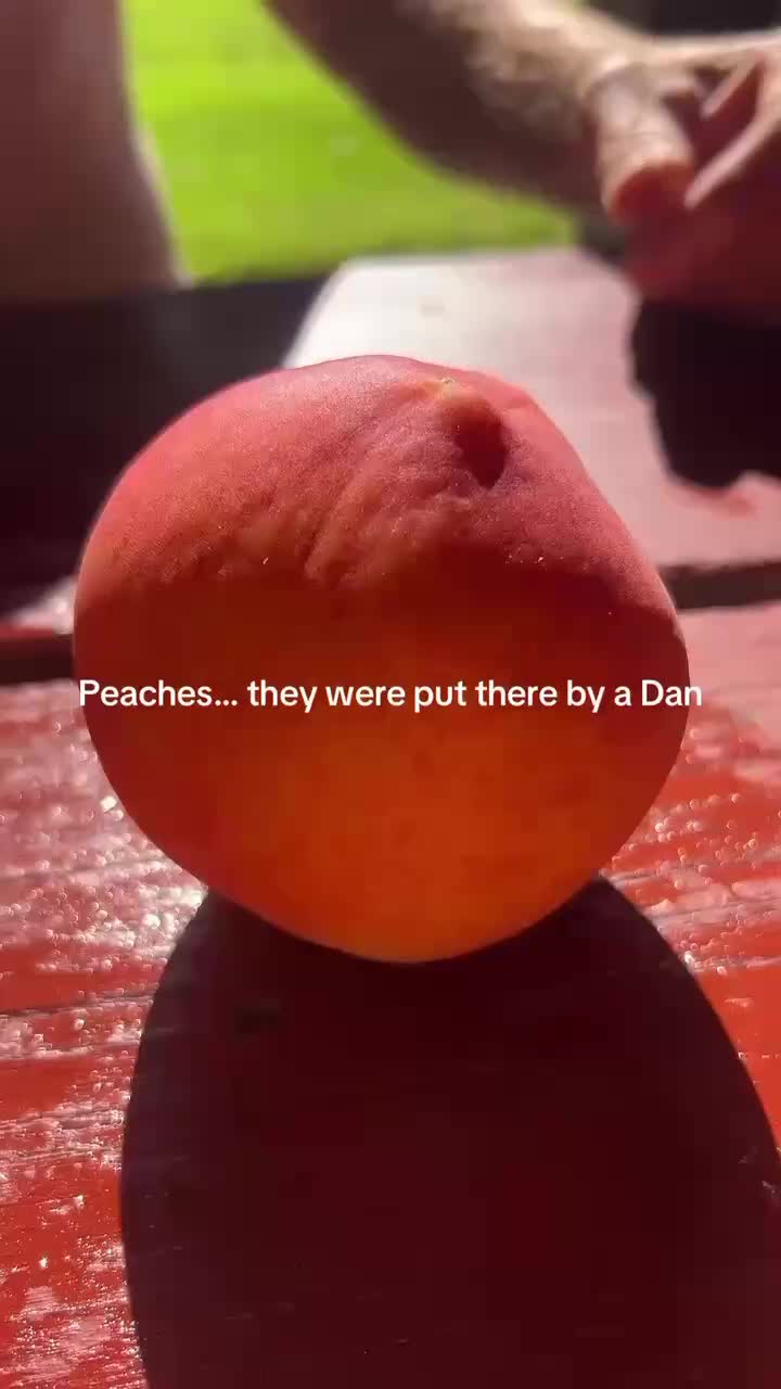 @danielharder1