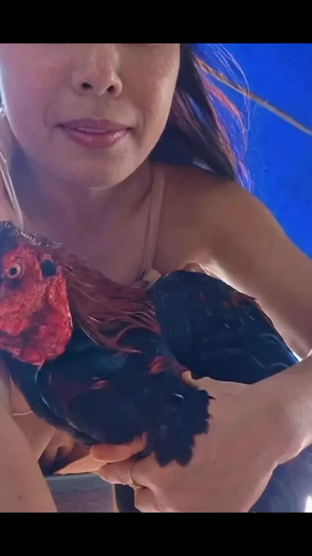@fefe|< tembem