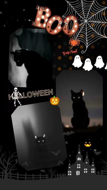 @__moody__