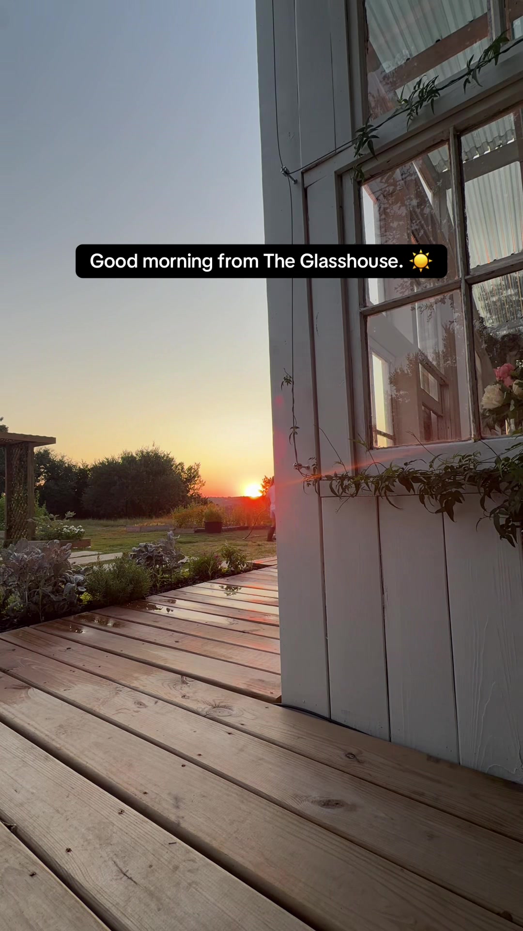 @Glasshouse TX Farmhouse Blooms