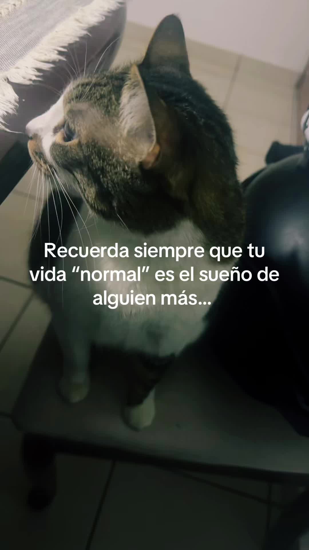 @Fabiola Pineda