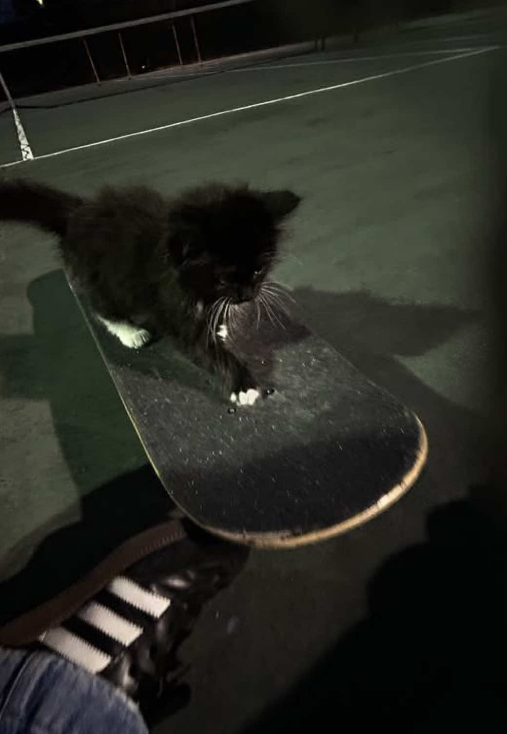 @𝐡𝐮𝐧𝐭𝐞𝐫 ˙𐃷˙