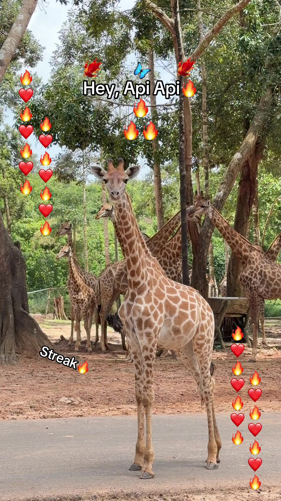 @Chuppy