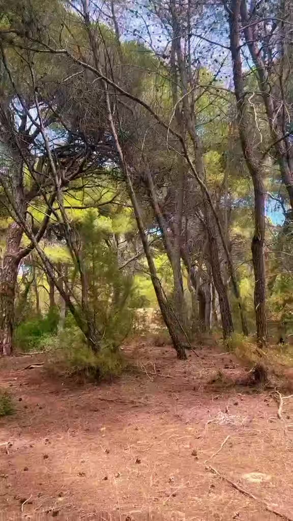 @अशोक ठाकुर