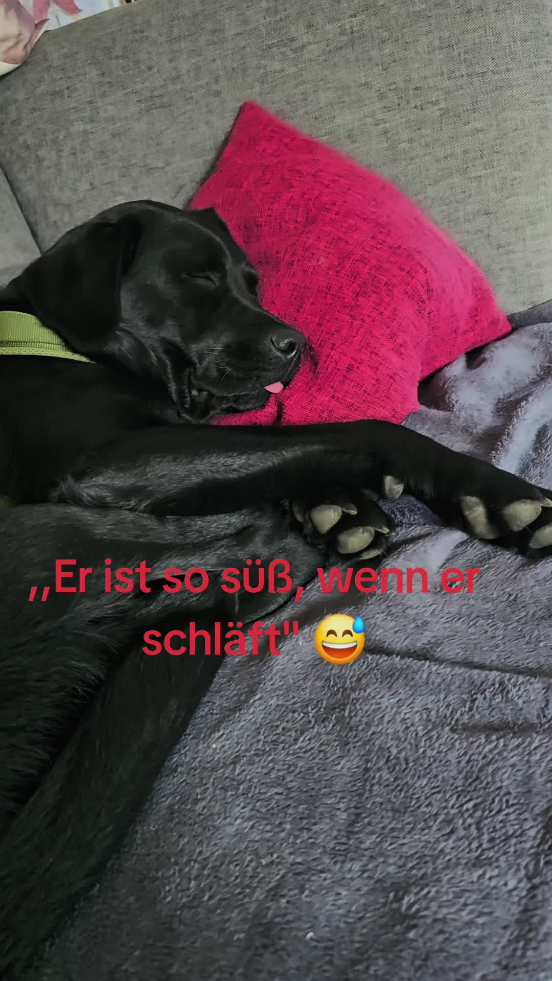 @AntonderBollerkopp