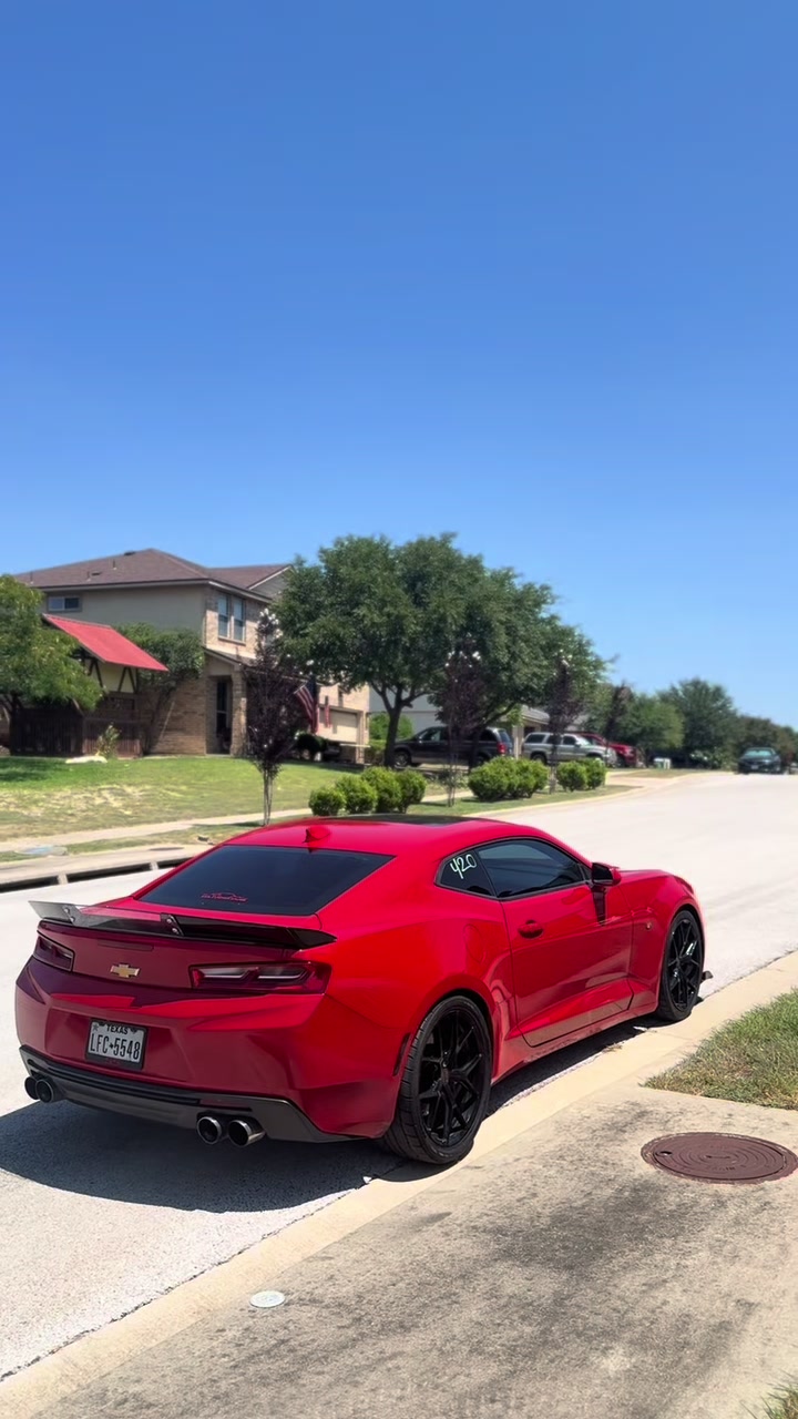 @lt1_dyl