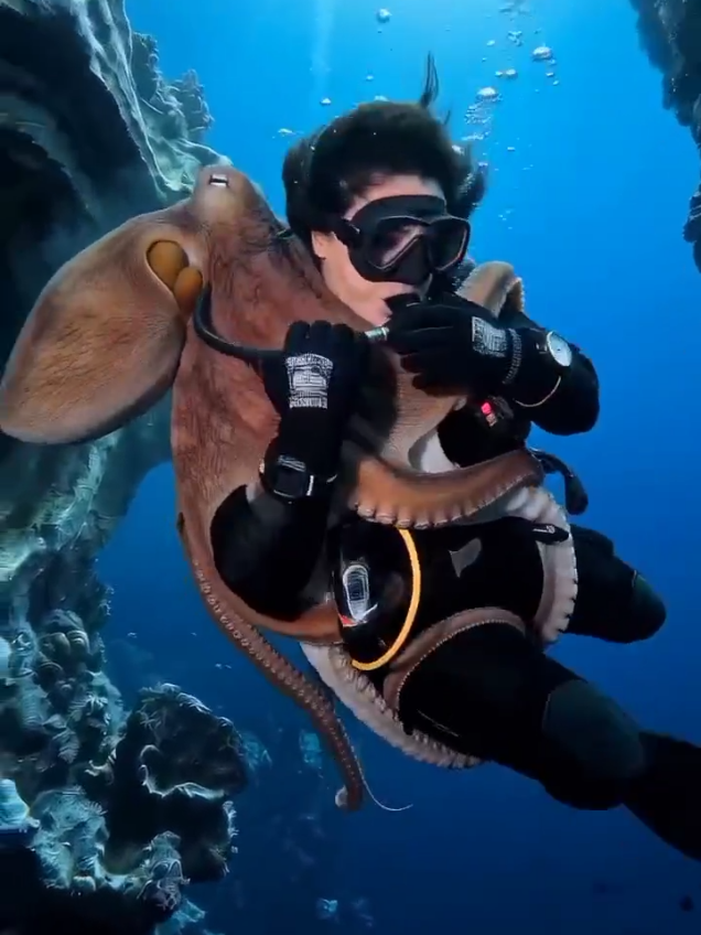 @Deep Sea 4K