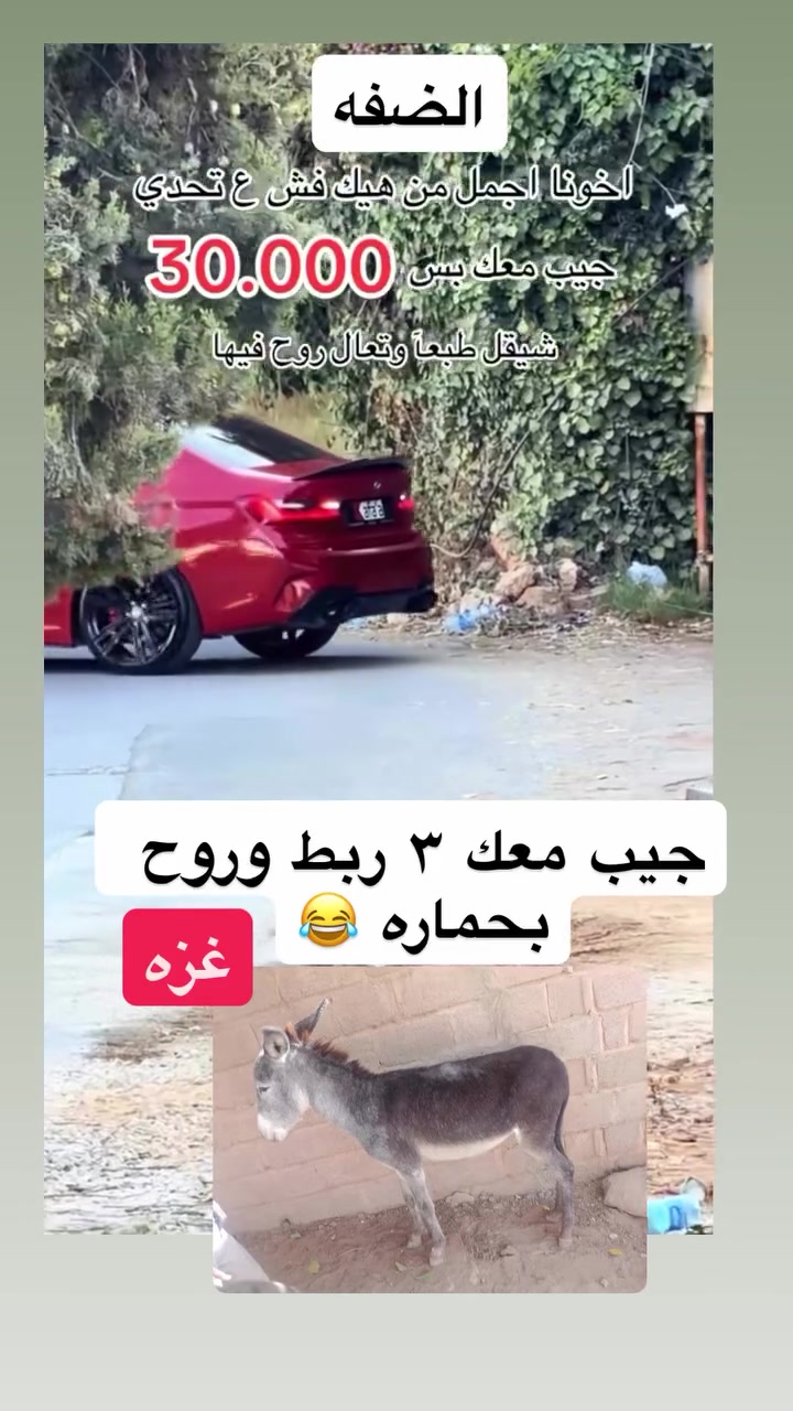 @شريف ابو مسعود