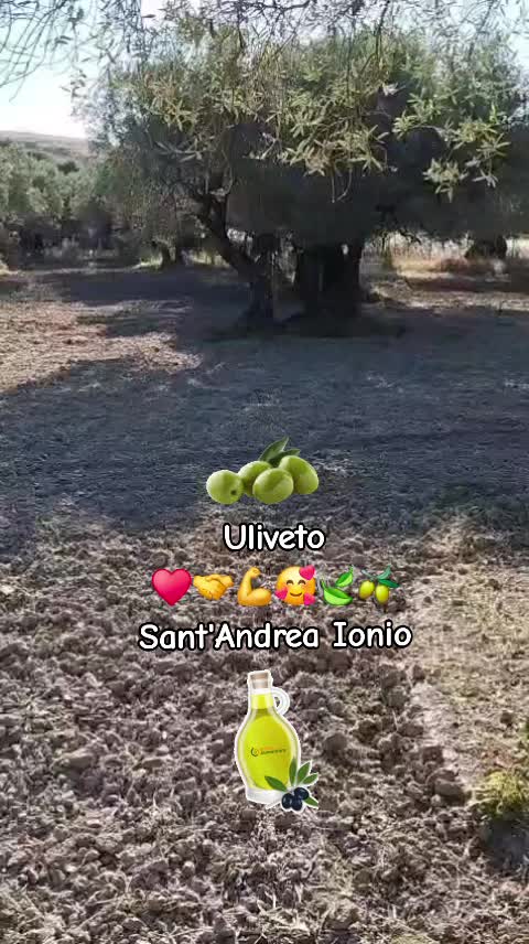 @Roberto