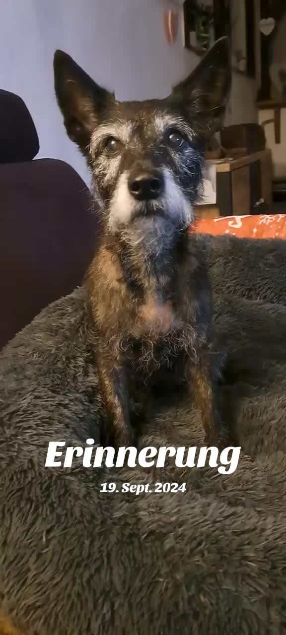 @Maya'sAbenteuer_HexeErinnerung