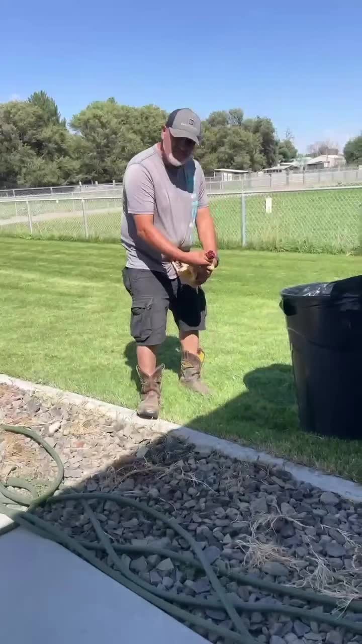 @rancho_rangel1