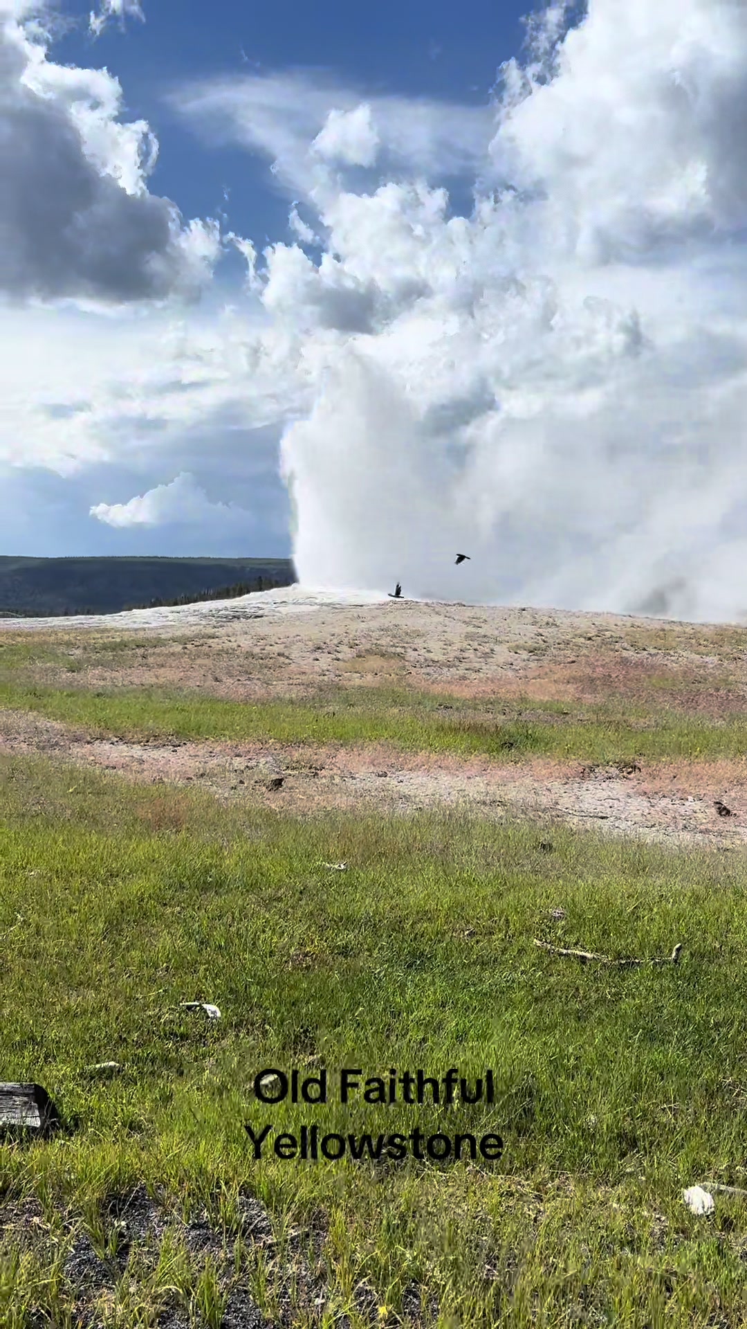 @Ashly