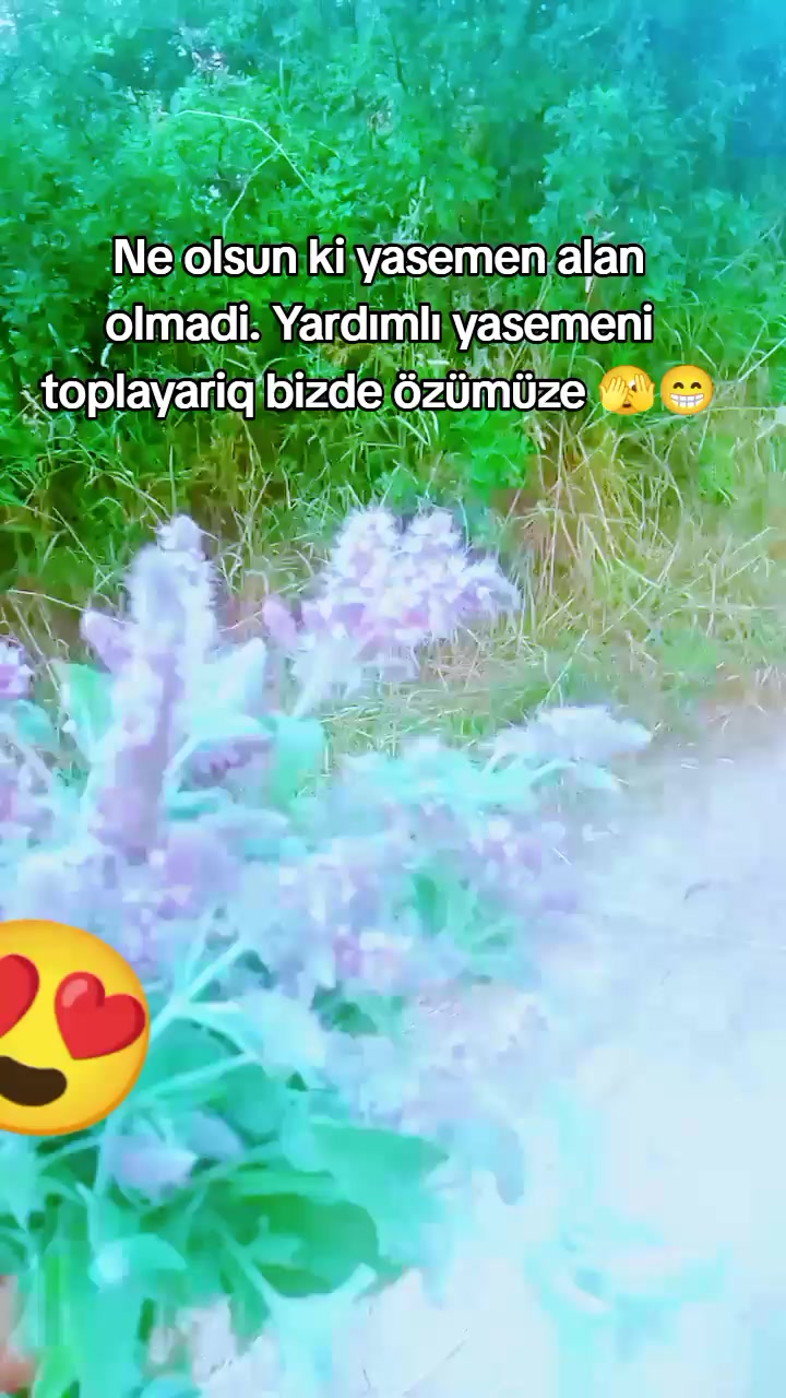 @shemsamanova