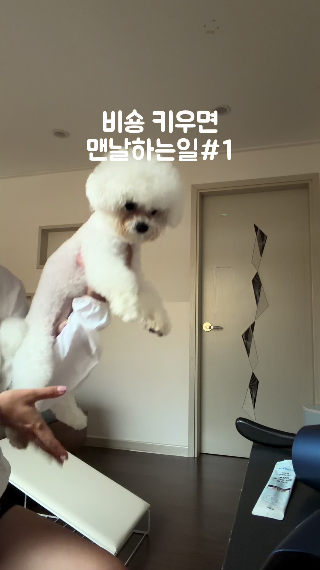 @jeju_kiki