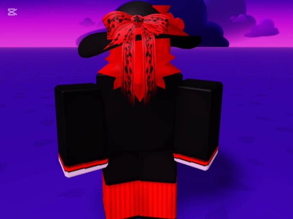 @*ੈ🎪‧₊˚