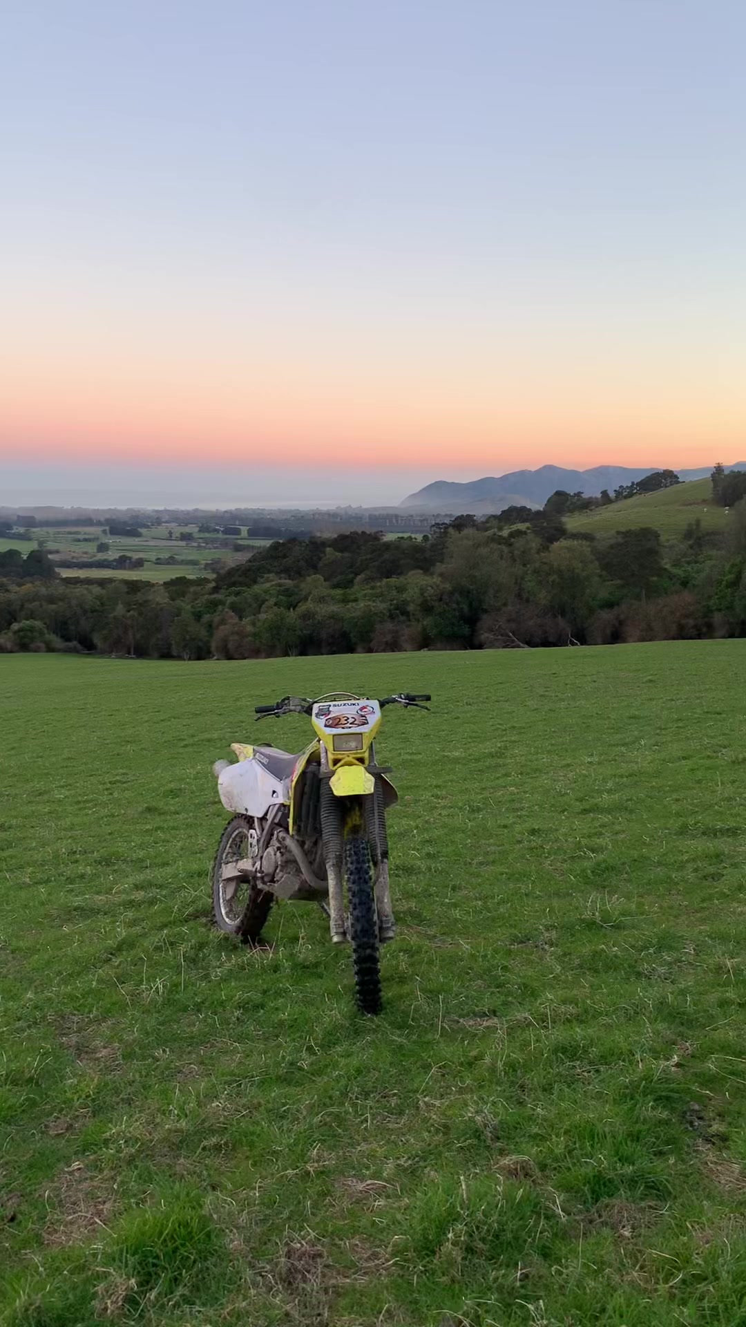 @DRZ Toby🫠