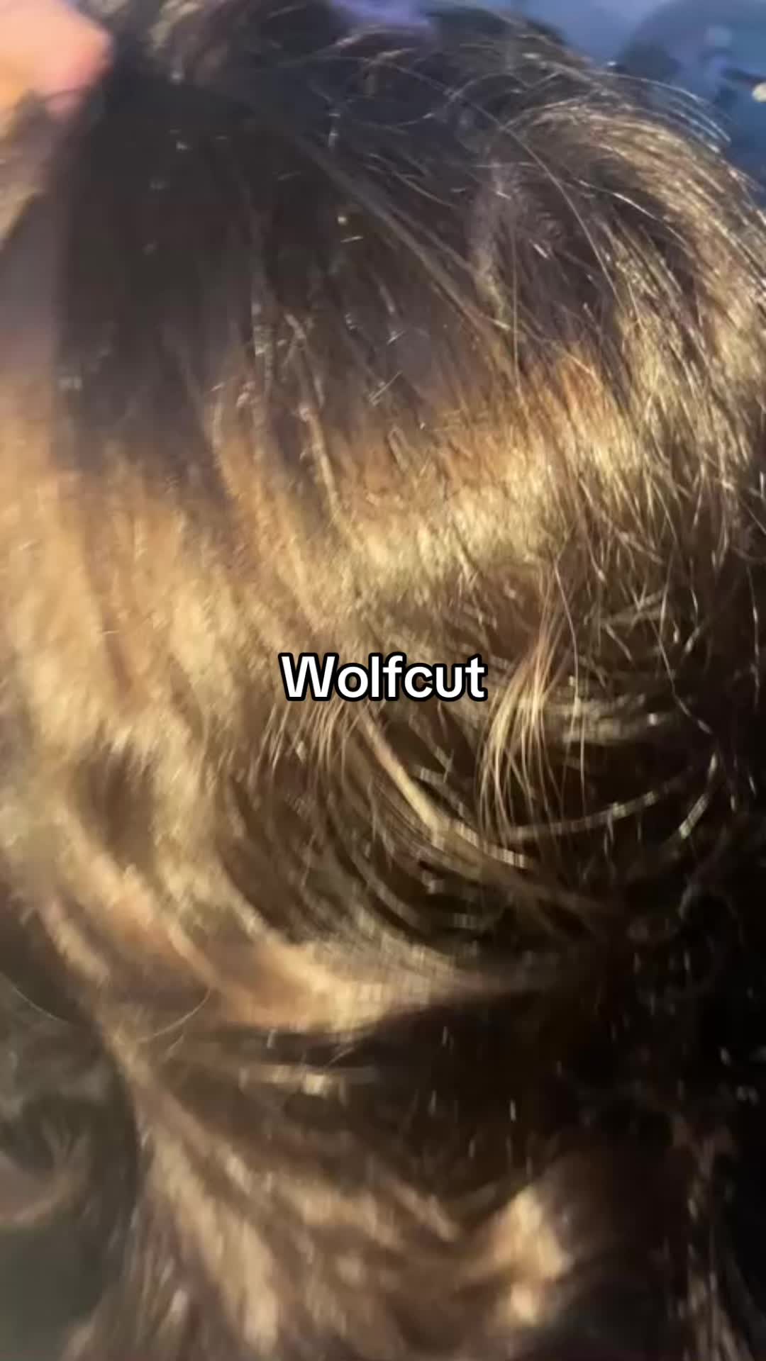 @txaxnxa19