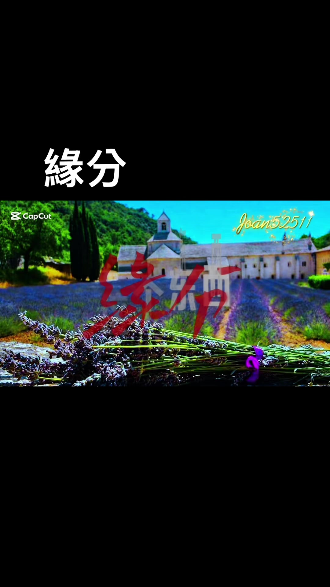 @⑅⑅⃛⁎ོᝰ♡¨̮ᐝ🌸joan🌸桜 ꫛ࿐💞♡¨̮⑅