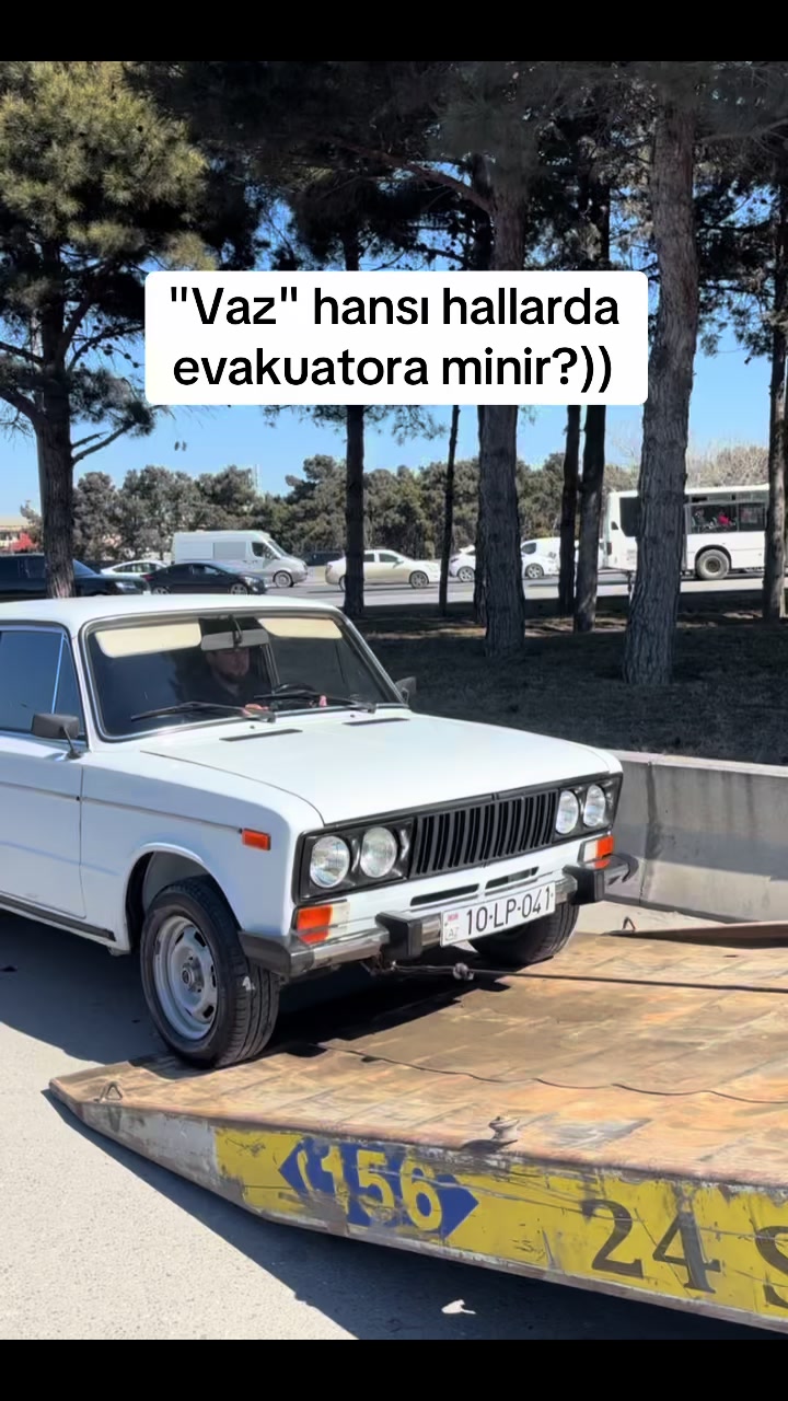 @camalov041