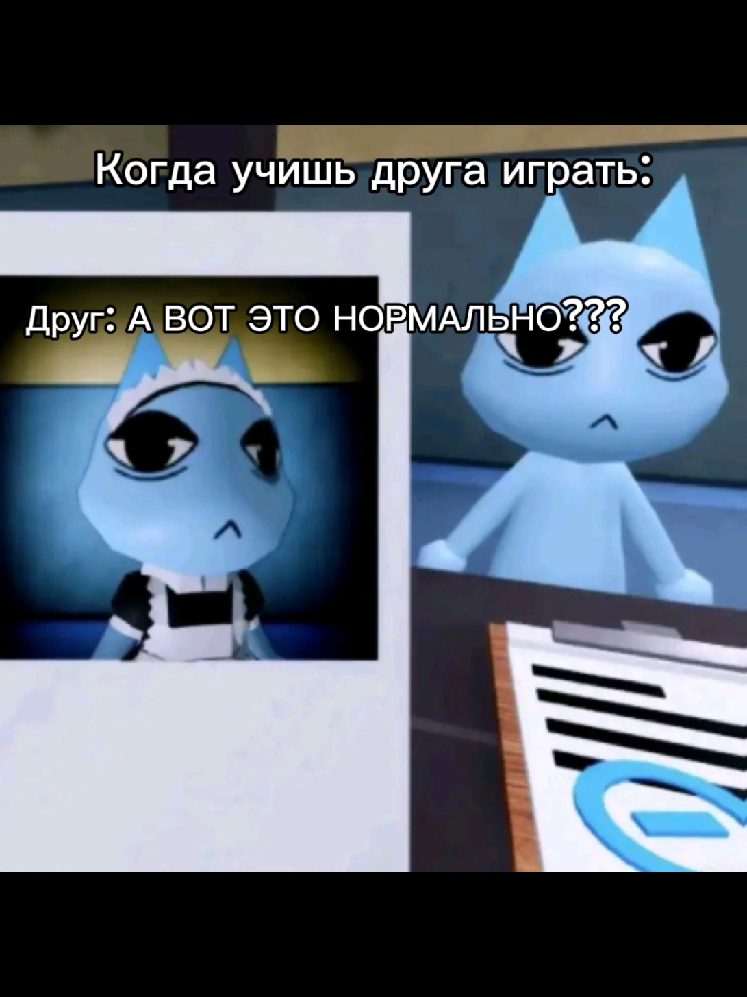 @egorshestakov