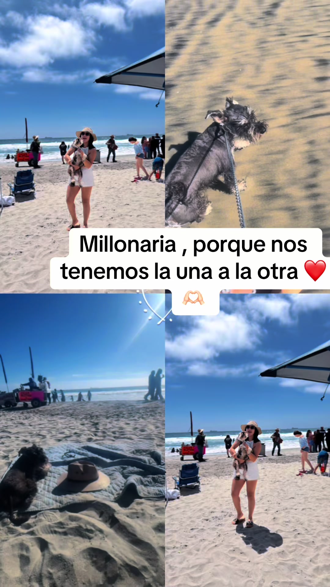 @Aldi Suarez