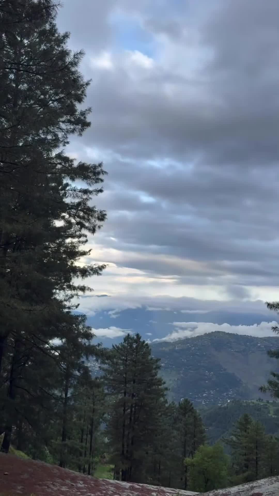 @ایوبیہ🌸