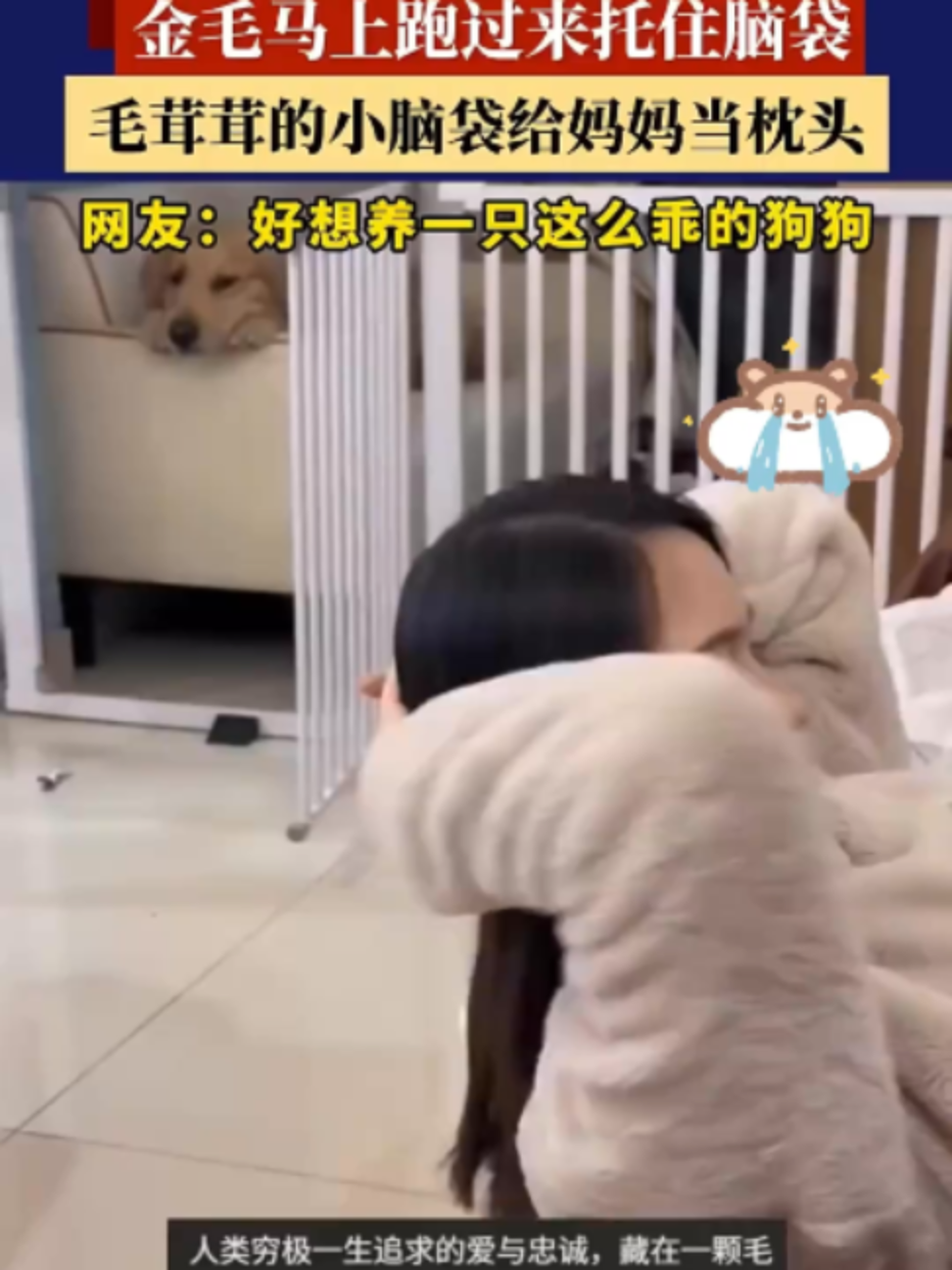 @中国蓝国际