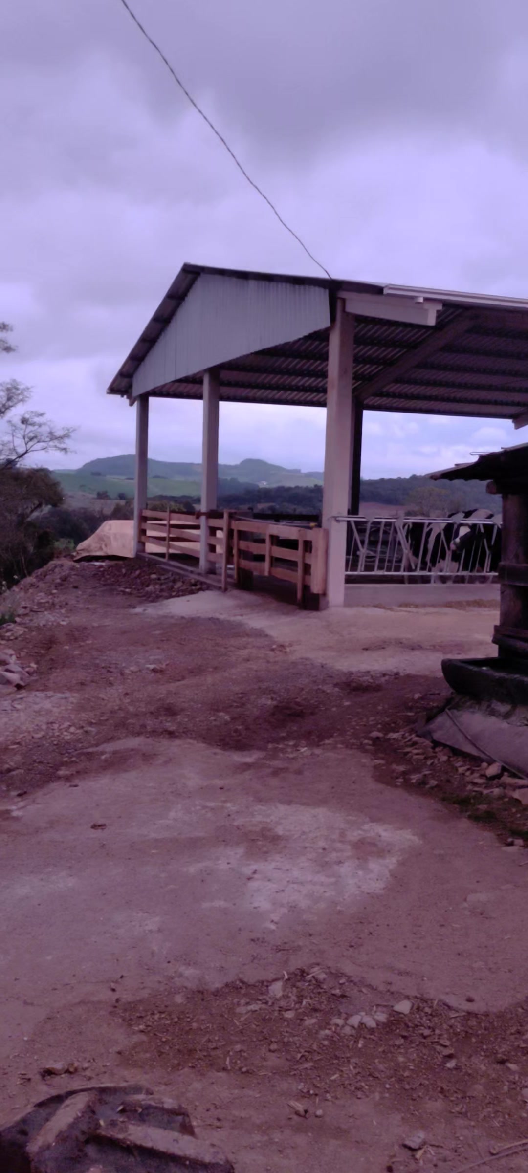 @agro é tudo beltrame