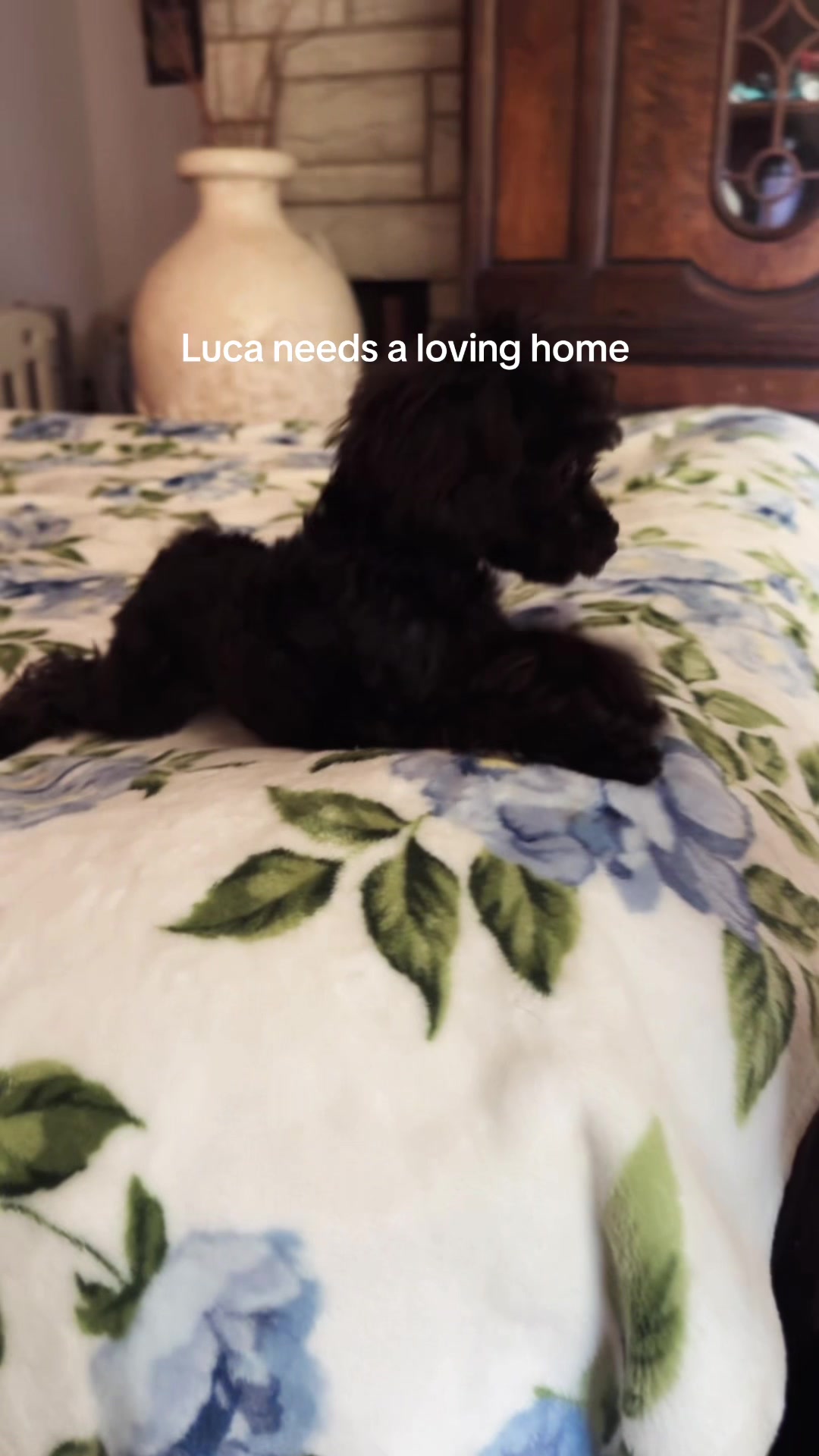 @packwalkdiaries