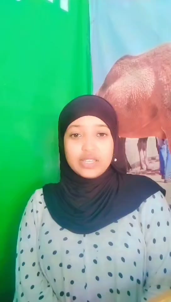 @toyiba61ኸይርያበጎአድራጎት