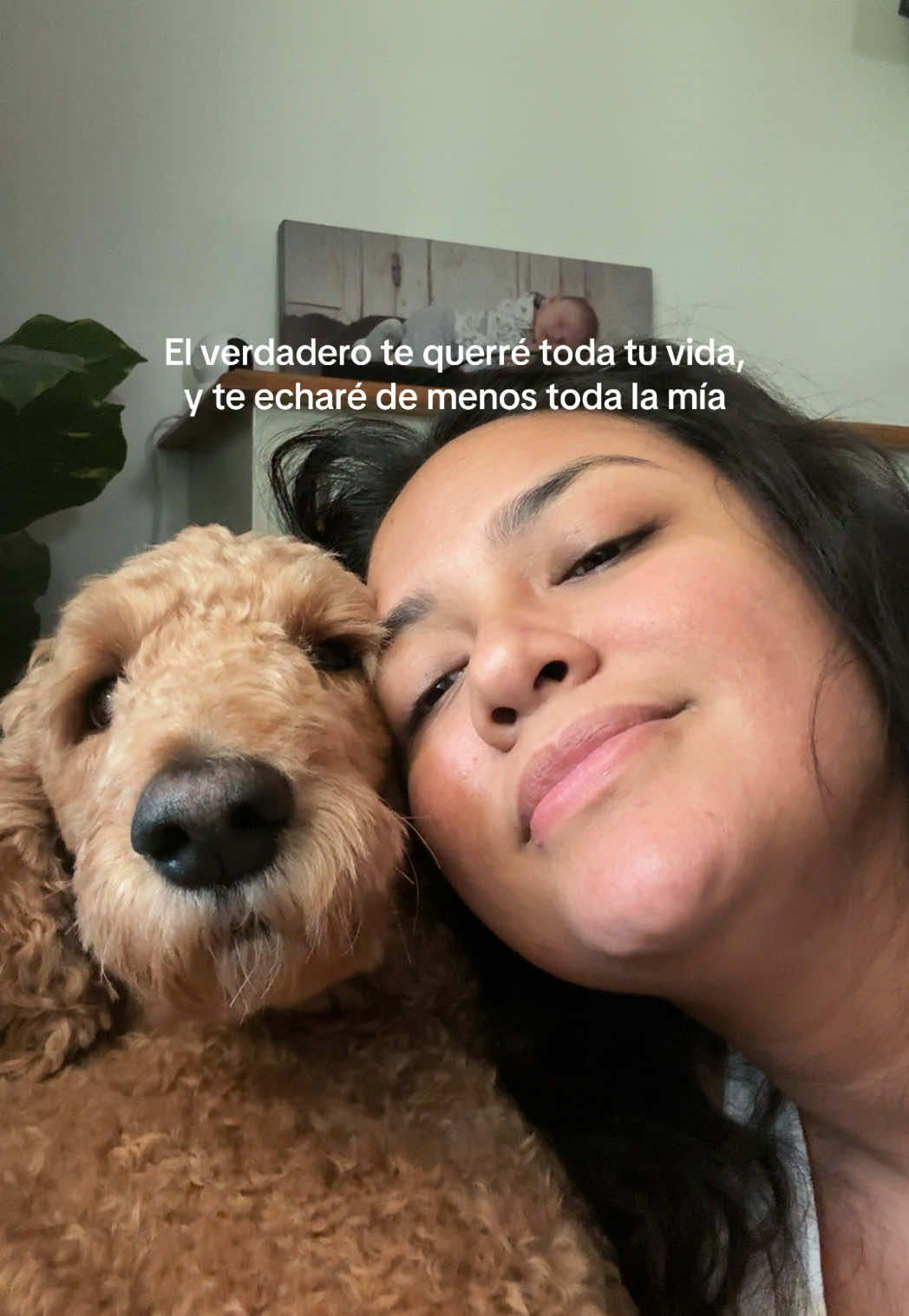 @maryy.ca