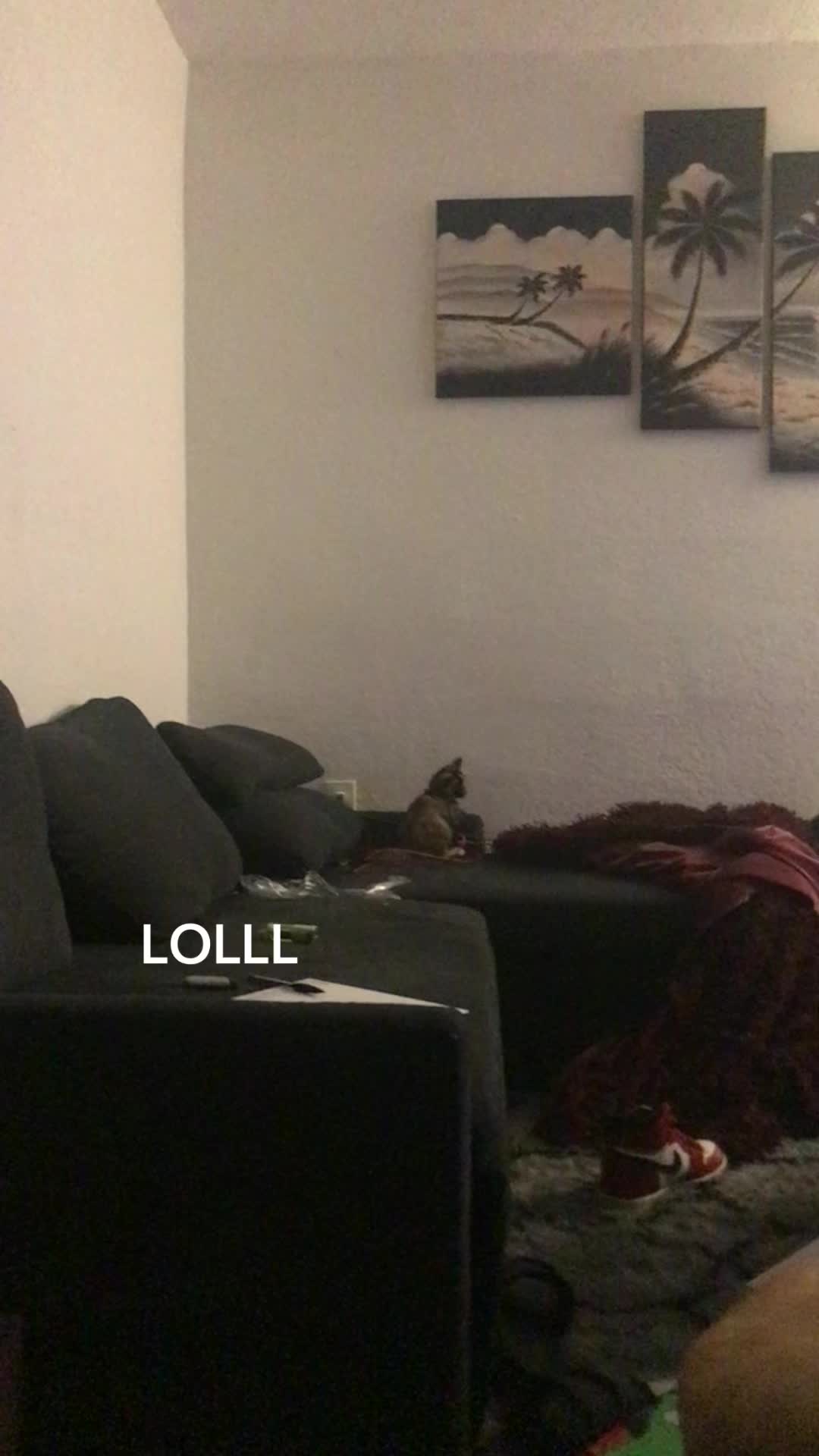 @🚬