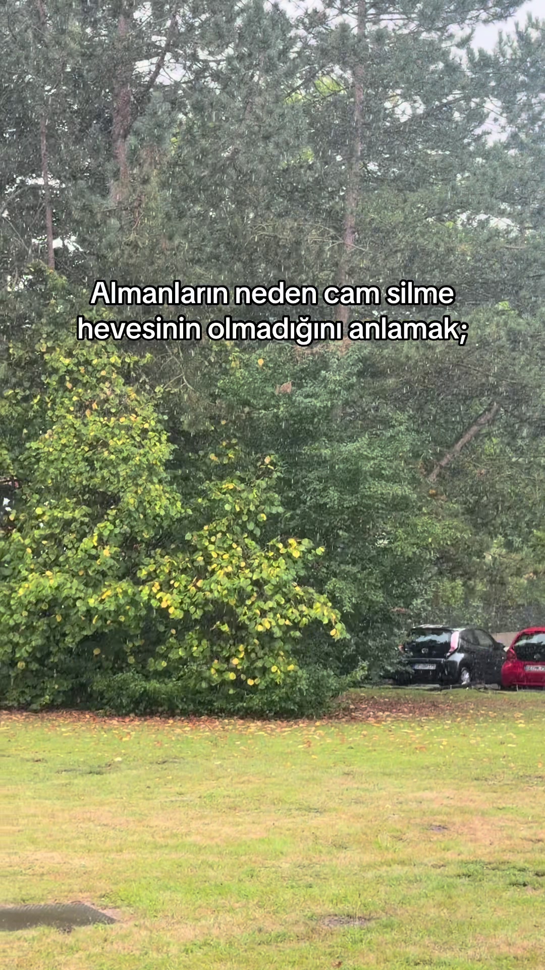 @Basaknergiz