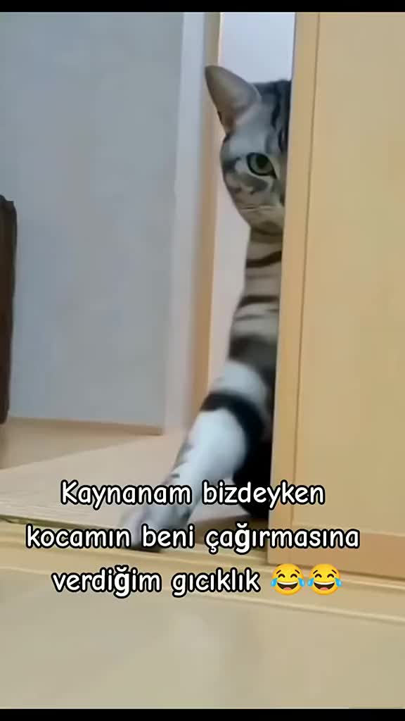 @senol matiz