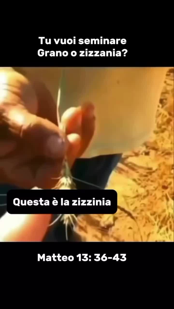 @minavisconti67