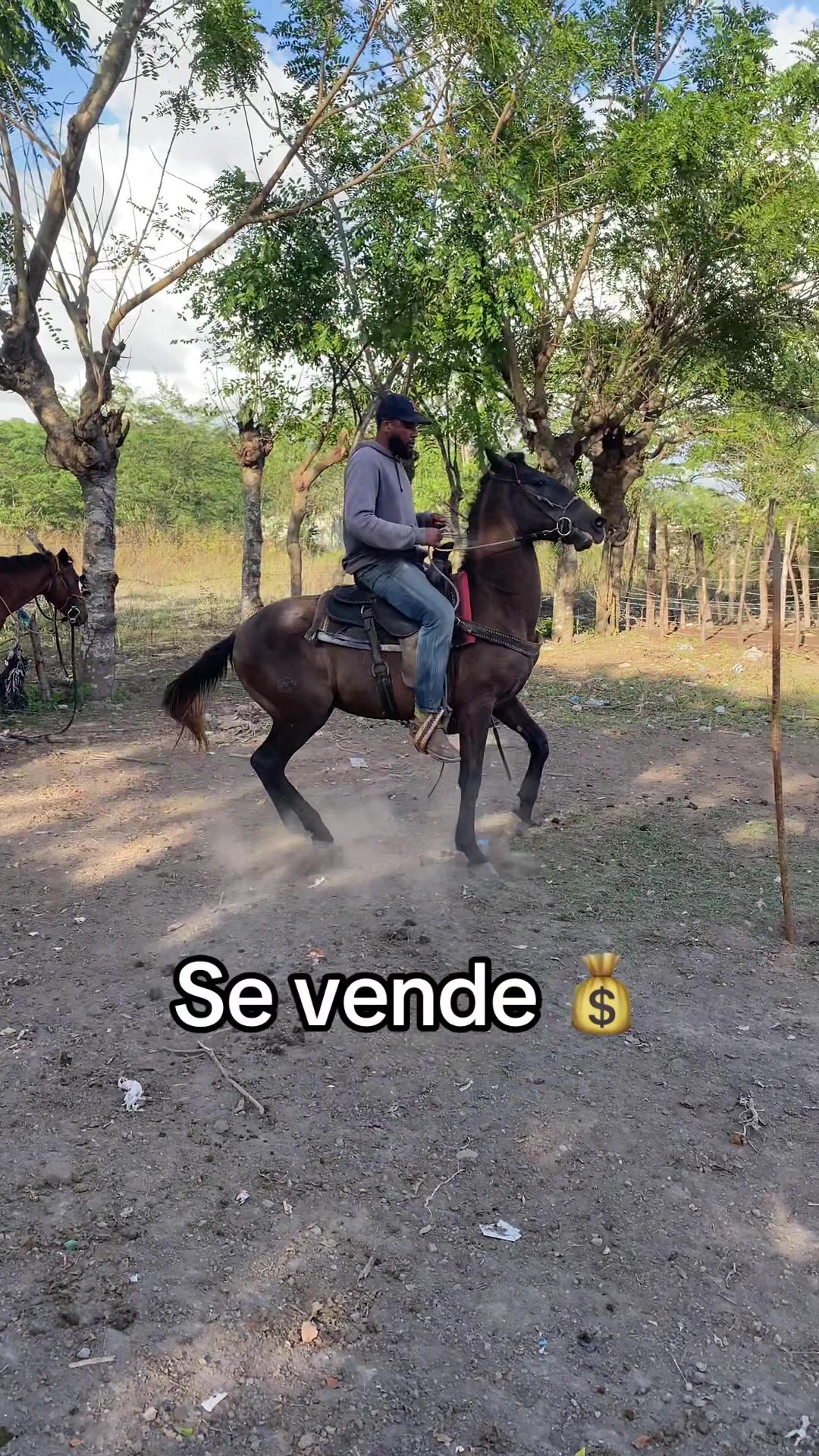 @ariel fortuna 🇩🇴🇺🇸💎💰