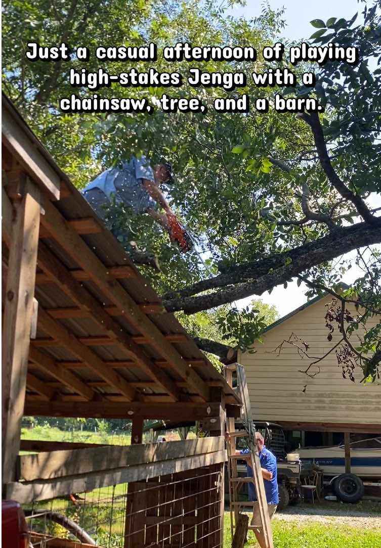 @SlowlaneFarm
