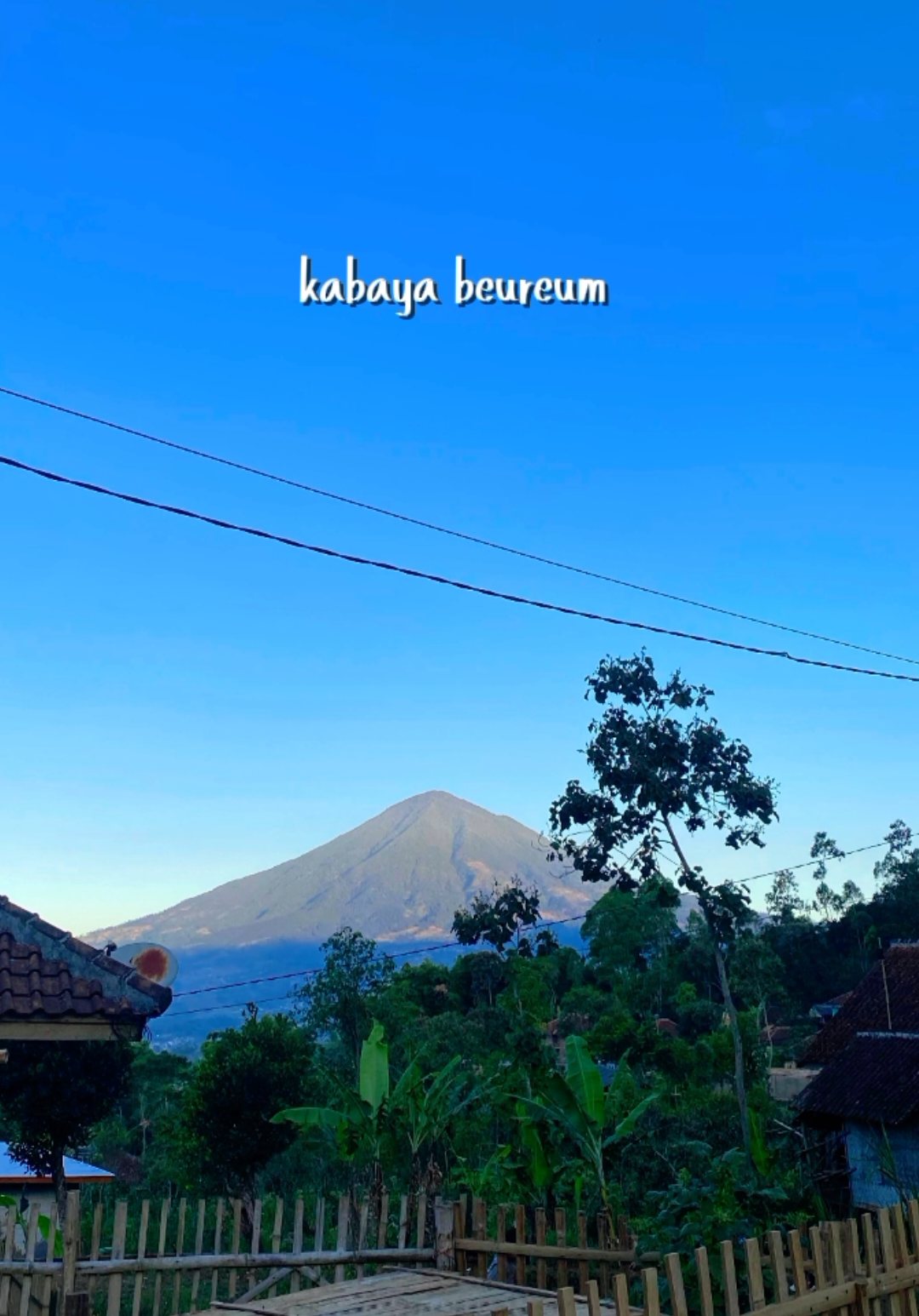 @𝗣𝗲𝘀𝗼𝗻𝗮 𝗗𝗲𝘀𝗮 🍃