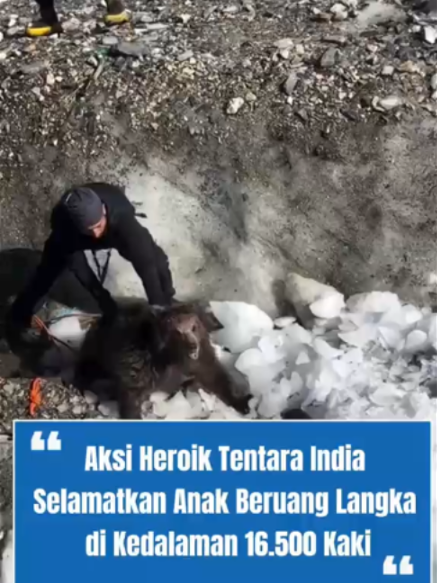 @tribunjogjadotcom