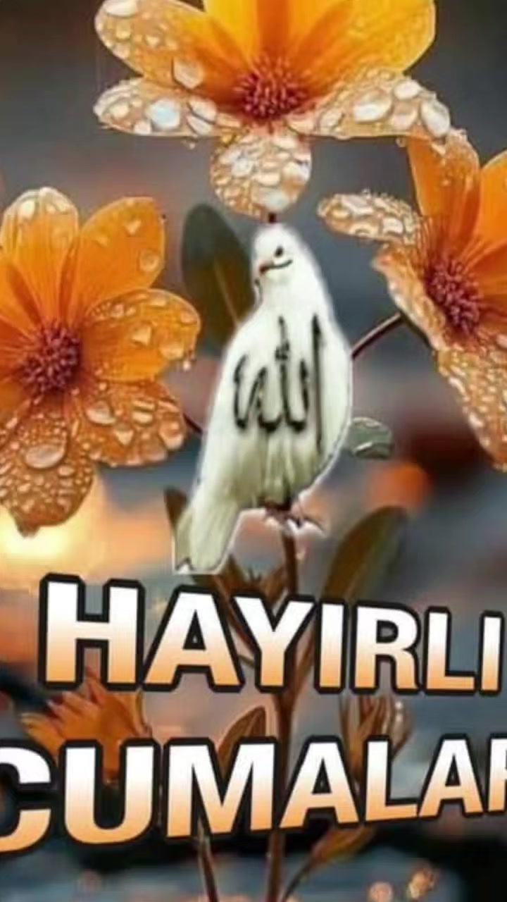 @Nurullah 171